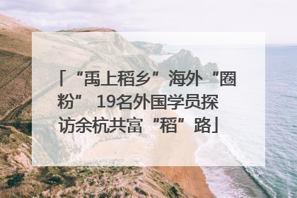 “禹上稻乡”海外“圈粉” 19名外国学员探访余杭共富“稻”路